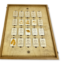 Настольная игра из дерева «Мемори» L